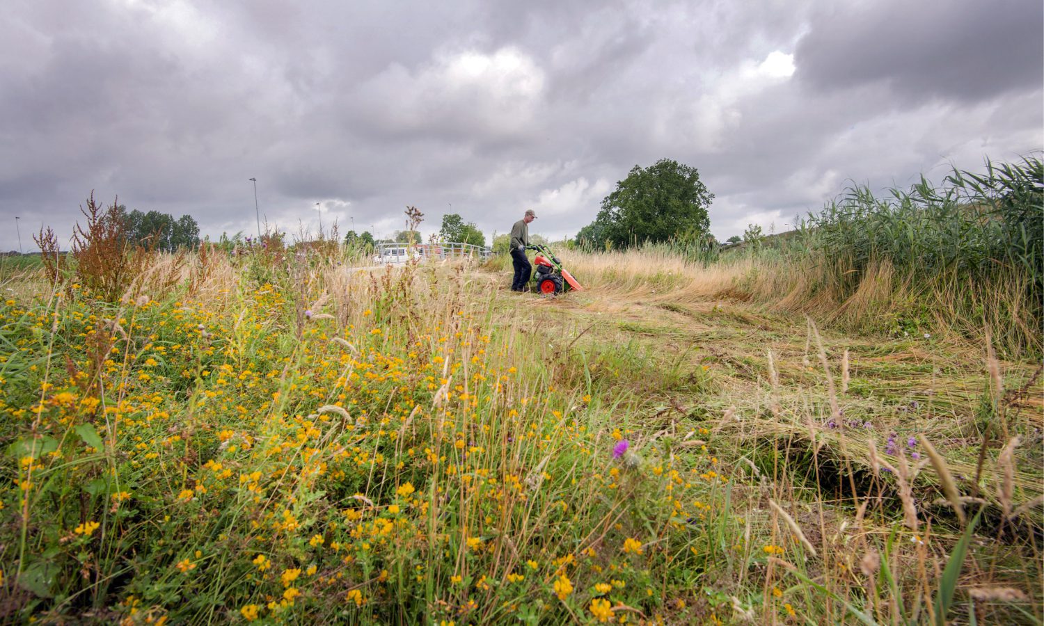 Frisia Bergum