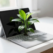Weelderige groene plant met vertakte stengels groeiend uit een open laptoptoetsenbord op een wit modern bureau in natuurlijk daglicht.