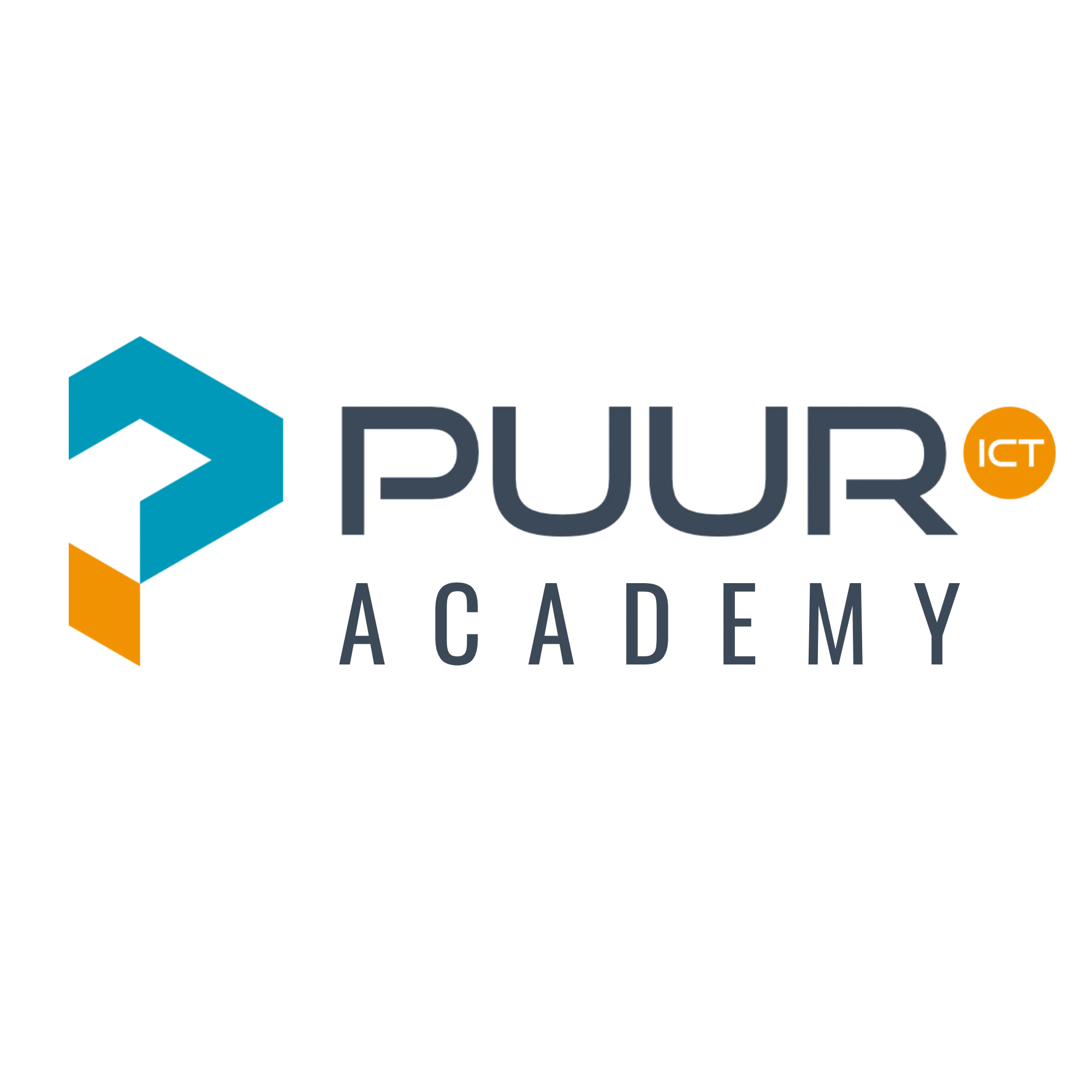 Puur Academy Puur Academy Logo